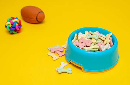 怎樣玩轉(zhuǎn)寵物用品店商城小程序成功提升業(yè)績？