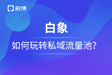 單月120w+銷售額,，白象如何玩轉(zhuǎn)私域流量池,？