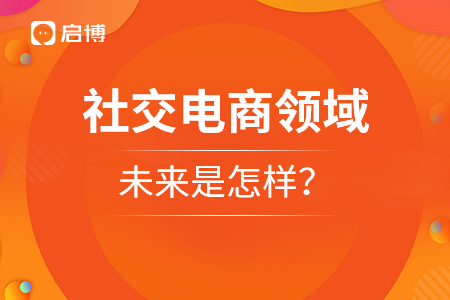 社交電商領(lǐng)域的未來是怎樣？
