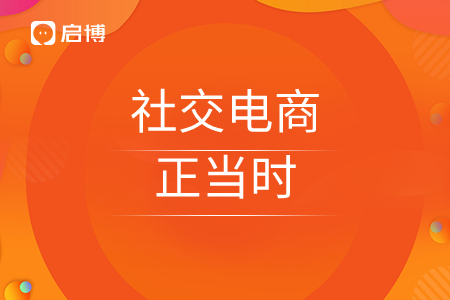 社交電商正當(dāng)時