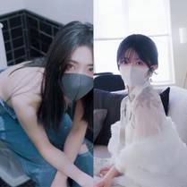 棋盘上的向日葵详细介绍