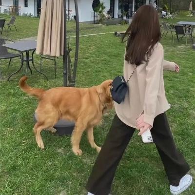 星与月是天上的洞剧情